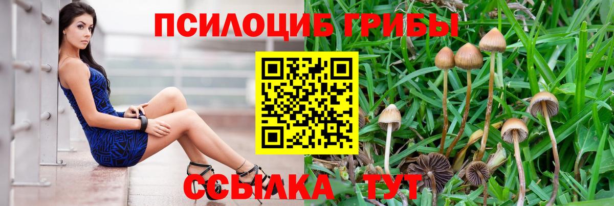 Псилоцибиновые грибы ЛСД Домодедово